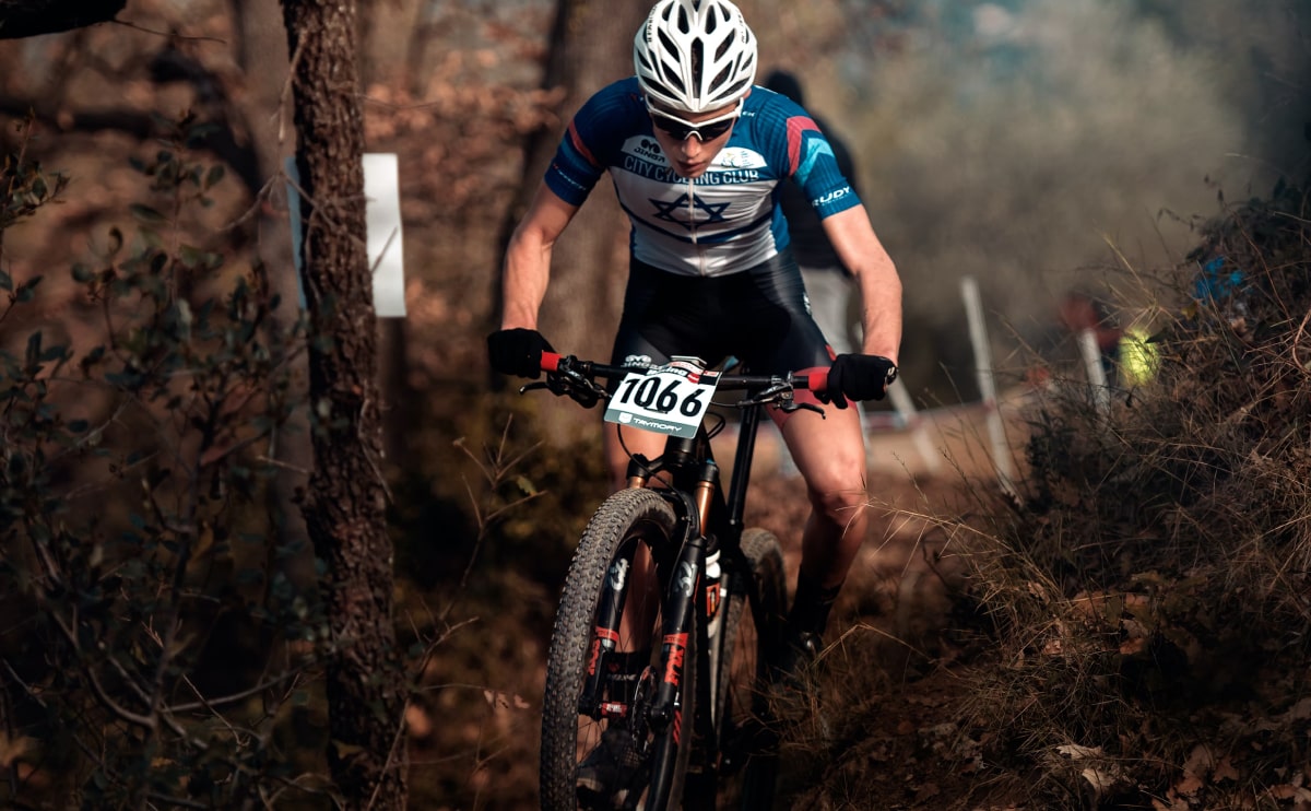 Reinterprets the classic bookshelf